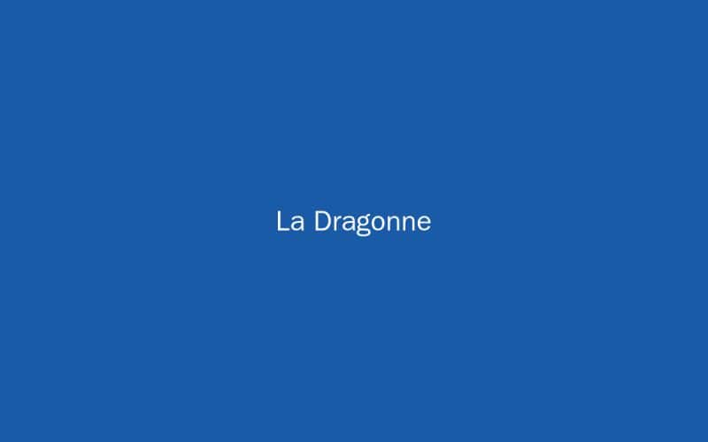 La Dragonne - Photo 1