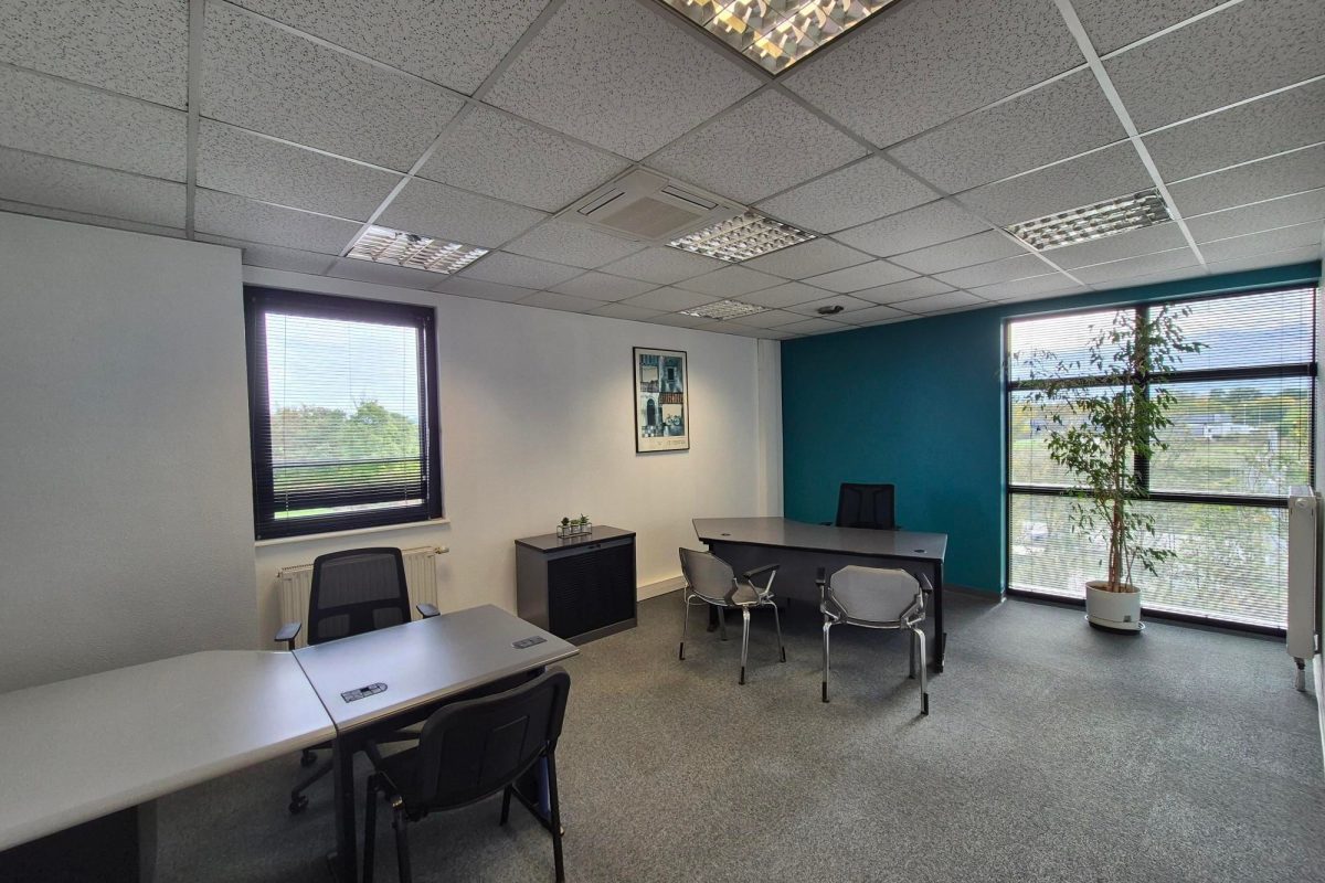 Mulhouse Business Center - Photo 1