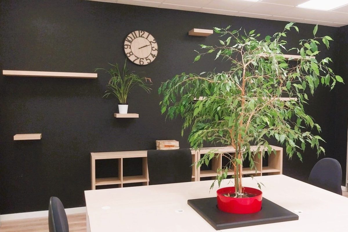 Atome Coworking - Photo 1